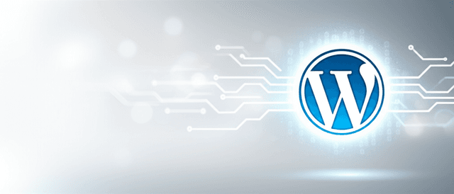 Bảo vệ website WordPress của bạn khỏi AI Scraper: Bí kíp với robots.txt!