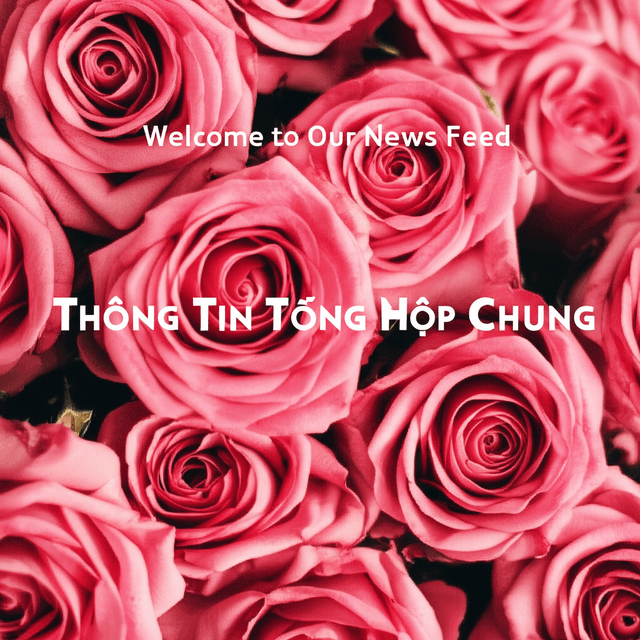 Thông Tin Tổng Hợp Chung